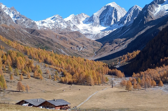 Vortrag: Landschaften in Südtirol - zwischen Nostalgie und Wandel 